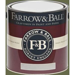 Farrow & Ball Exterior Eggshell Paint Bancha No.298 - 2.5L Farrow & Ball Exterior Eggshell Paint Bancha No.298 - 2.5L