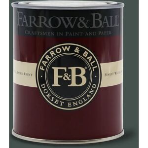 Farrow & Ball Chine Green No. 35 Exterior Eggshell - 0.75L Farrow & Ball Chine Green No. 35 Exterior Eggshell - 0.75L