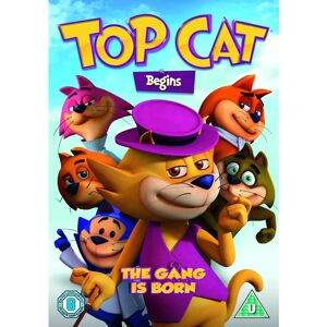 Warner Bros Top Cat Begins DVD - DVD Warner Bros Top Cat Begins DVD - DVD