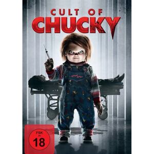 Universal Pictures Chucky DVD - Película de terror Universal Pictures Chucky DVD - Película de terror
