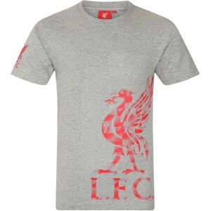 T-Shirt Gris pour Garçons Liverpool FC - Cadeau Officiel de Football pour 4-5 Ans - Publicité T-Shirt Gris pour Garçons Liverpool FC - Cadeau Officiel de Football pour 4-5 Ans - Publicité