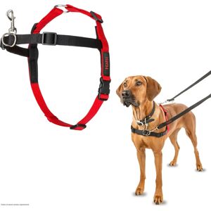 Company of Animals LH03 Red/Black - Dog Harness Company of Animals LH03 Red/Black - Dog Harness