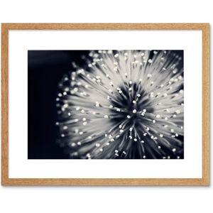 Artery8 - Macro Photo - Black and White - Framed Wall Art Artery8 - Macro Photo - Black and White - Framed Wall Art