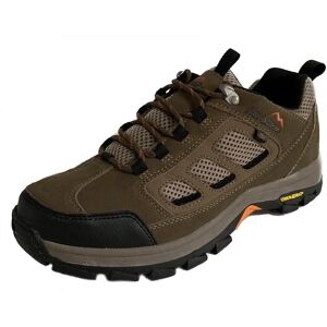 Peter Storm - Camborne Low Walking Shoe - Brown - UK10 - Shoe Peter Storm - Camborne Low Walking Shoe - Brown - UK10 - Shoe