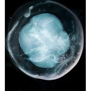 A Winged Victory For The Sullen - Los Cinco No Divididos - Álbum de Música A Winged Victory For The Sullen - Los Cinco No Divididos - Álbum de Música