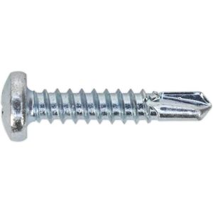 Sealey SDPH4825 Self Drilling Screw Zinc - Self Drilling Screw Sealey SDPH4825 Self Drilling Screw Zinc - Self Drilling Screw