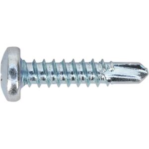 Sealey SDPH4219 Self Drilling Screw Zinc - Self Drilling Screw - Self Drilling Screw Sealey SDPH4219 Self Drilling Screw Zinc - Self Drilling Screw - Self Drilling Screw