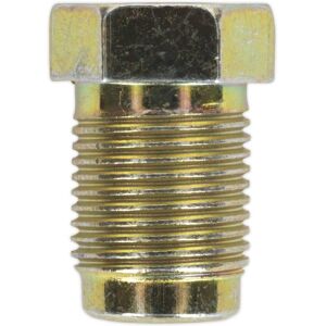 Sealey BN12100PT Brake Pipe Nut - M12 x 1mm, Pack of 25 Sealey BN12100PT Brake Pipe Nut - M12 x 1mm, Pack of 25