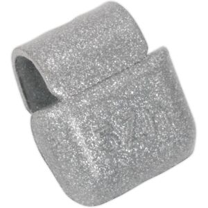 Sealey WWAH05 Wheel Weight 5g Hammer-On Plastic Coated Zinc for Alloy Wheels - Wheel Weights Sealey WWAH05 Wheel Weight 5g Hammer-On Plastic Coated Zinc for Alloy Wheels - Wheel Weights