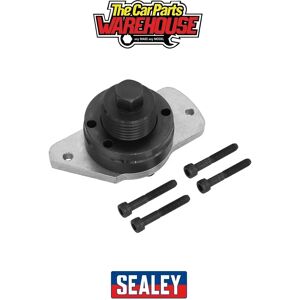 Sealey VSE3036 Fuel Pump Locking Tool - Fuel Pump Locking & Removal for JLR 2.0D Ingenium Sealey VSE3036 Fuel Pump Locking Tool - Fuel Pump Locking & Removal for JLR 2.0D Ingenium