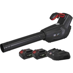 Sealey CP40VBKIT 40V Cordless Leaf Blower - Leaf Blower Sealey CP40VBKIT 40V Cordless Leaf Blower - Leaf Blower