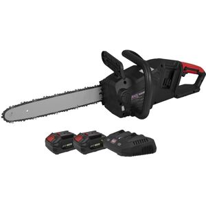 Sealey Chainsaw Kit - 40V, 4Ah, Sv20 Series - 35cm Sealey Chainsaw Kit - 40V, 4Ah, Sv20 Series - 35cm