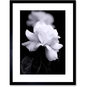 Artery8 - Photo Nature Rose - Black White Artery8 - Photo Nature Rose - Black White
