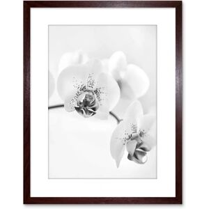 Artery8 - Photo Nature Orchid - Brown - 9X7 Inch - Wall Art Artery8 - Photo Nature Orchid - Brown - 9X7 Inch - Wall Art