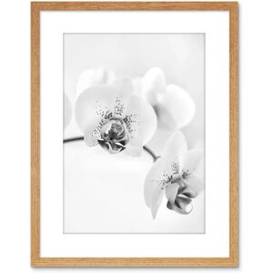 Artery8 - Orchid Flower - 9X7 - Light Oak - Wall Art Print Artery8 - Orchid Flower - 9X7 - Light Oak - Wall Art Print