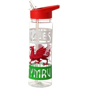 Puckator Welsh Dragon 550ml Water Bottle Puckator Welsh Dragon 550ml Water Bottle