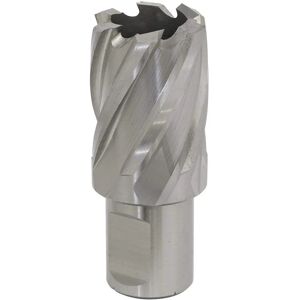 Worksafe Rotabor Cutter Model RBHSS25S - 25mm Deep Cut Worksafe Rotabor Cutter Model RBHSS25S - 25mm Deep Cut