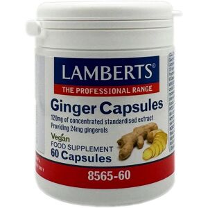 Lamberts Ginger 120mg - Ginger Capsules - Supplements Lamberts Ginger 120mg - Ginger Capsules - Supplements