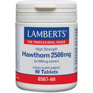 Lamberts Weißdorn 2500mg - Herzunterstützung Lamberts Weißdorn 2500mg - Herzunterstützung