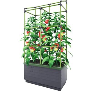 Bio Green Conteneur à plantes City Jungle avec treillis - Publicité Bio Green Conteneur à plantes City Jungle avec treillis - Publicité