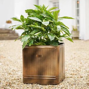 Ivyline Ivyline Hampton Square Copper Metal Planter - Outdoor, Copper, 35cm x 34cm, Unisex Ivyline Ivyline Hampton Square Copper Metal Planter - Outdoor, Copper, 35cm x 34cm, Unisex