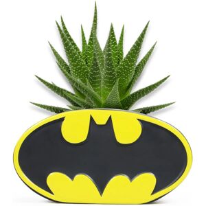Half Moon Bay Batman Logo Planter - Indoor Decoration - Planter Half Moon Bay Batman Logo Planter - Indoor Decoration - Planter
