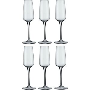Bormioli Rocco Aurum Glass Champagne Flutes Set - 230ml - Pack of 6 Transparent Bormioli Rocco Aurum Glass Champagne Flutes Set - 230ml - Pack of 6 Transparent