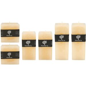 Nicola Spring Vanilla Scented Candle Set of 6 - Candle Nicola Spring Vanilla Scented Candle Set of 6 - Candle