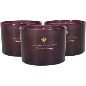 Nicola Spring Cinnamon & Orange Soy Wax Candle - Candles Nicola Spring Cinnamon & Orange Soy Wax Candle - Candles