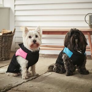 Bunty Model X-Small Blue Dog Puffer Coat Winter Insulated Jacket Bunty Model X-Small Blue Dog Puffer Coat Winter Insulated Jacket