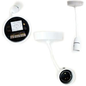 Loops 5x 6" Flex Cable Ceiling Rose Pendant Light Lamp Shade Holder Lampholder - Pendant Light Fixture Loops 5x 6" Flex Cable Ceiling Rose Pendant Light Lamp Shade Holder Lampholder - Pendant Light Fixture