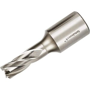 Halls RAP120 Rotabroach Cutter - Durable 12mm x 25mm HSS Halls RAP120 Rotabroach Cutter - Durable 12mm x 25mm HSS