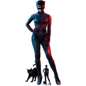 Iconicgreats Catwoman Batman Lifesize Cardboard Cutout Iconicgreats Catwoman Batman Lifesize Cardboard Cutout