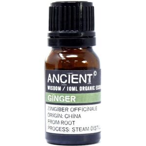 Ancient Wisdom Organic Ginger Essential Oil - Digestive & Nausea Relief Ancient Wisdom Organic Ginger Essential Oil - Digestive & Nausea Relief