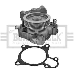 Pompa wody Borg And Beck 3.0L dla Peugeot, Fiat, Citroën Pompa wody Borg And Beck 3.0L dla Peugeot, Fiat, Citroën