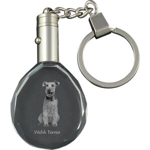 Art-Dog - Welsh Terrier Photo Pendant - Illuminated - Crystal Key Ring - Gift Art-Dog - Welsh Terrier Photo Pendant - Illuminated - Crystal Key Ring - Gift