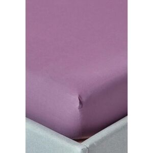 Homescapes Egyptian Cotton Deep Fitted Sheet - Grape, 18 inch, 200 TC, Unisex Homescapes Egyptian Cotton Deep Fitted Sheet - Grape, 18 inch, 200 TC, Unisex