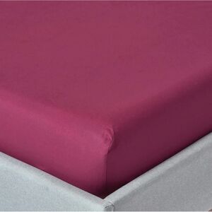 Homescapes Egyptian Cotton Fitted Sheet - Small Double - 200 TC - Bed Linen Homescapes Egyptian Cotton Fitted Sheet - Small Double - 200 TC - Bed Linen