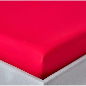 Homescapes Egyptian Cotton Fitted Sheet - Single, Red - 200 TC Homescapes Egyptian Cotton Fitted Sheet - Single, Red - 200 TC