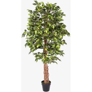 Homescapes Green Artificial Ficus Tree with Twisted Wood Trunk - 6 Ft Homescapes Green Artificial Ficus Tree with Twisted Wood Trunk - 6 Ft