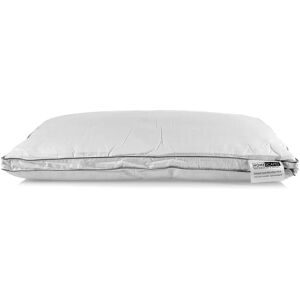 Homescapes White Microfibre Damask Pillow - Pillow Homescapes White Microfibre Damask Pillow - Pillow