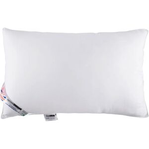 Homescapes White Microfibre Anti Bacterial Pillow - Pillow Homescapes White Microfibre Anti Bacterial Pillow - Pillow