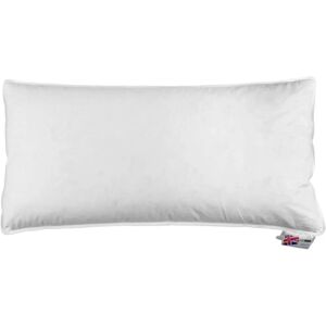 Homescapes Goose Down Euro Continental Pillow - 40cm x 80cm - Pillow Homescapes Goose Down Euro Continental Pillow - 40cm x 80cm - Pillow