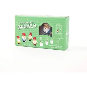 Gift Republic Mini Jardín Maceta Gnomos - Decoración de Jardín Gift Republic Mini Jardín Maceta Gnomos - Decoración de Jardín