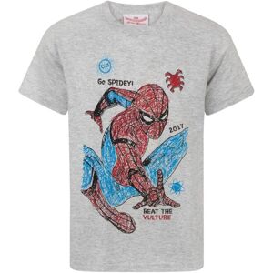 Vanilla Underground T-Shirt Spider-Man Gris - Garçons 11-12 Ans Vanilla Underground T-Shirt Spider-Man Gris - Garçons 11-12 Ans