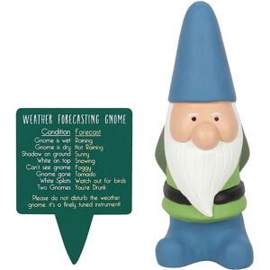 Garden Charm Large Blue Weather Forecasting Gnome - garden ornament Garden Charm Large Blue Weather Forecasting Gnome - garden ornament