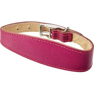 BBD PET PRODUCTS Whippet Deluxe Collar - Dog Collar BBD PET PRODUCTS Whippet Deluxe Collar - Dog Collar