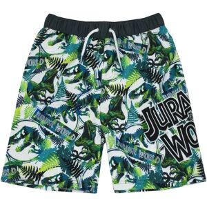 Jurassic World Boys Green Logo Swim Shorts - 4-5 Years Jurassic World Boys Green Logo Swim Shorts - 4-5 Years