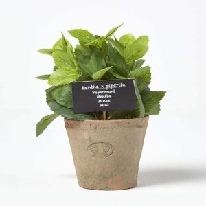 Homescapes Artificial Mint Plant in Decorative Pot - Artificial Plant Homescapes Artificial Mint Plant in Decorative Pot - Artificial Plant