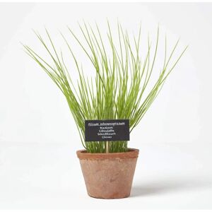 Homescapes Artificial Chive Plant - Rustic Terracotta Pot - Artificial Plant Homescapes Artificial Chive Plant - Rustic Terracotta Pot - Artificial Plant